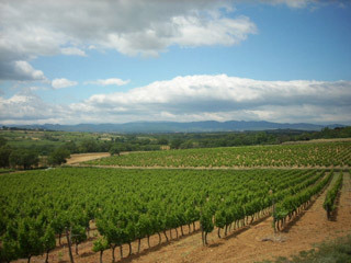 les chemins de Bassac